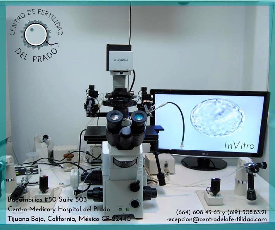 Demetrio E. Zertuche Gonzalez-0