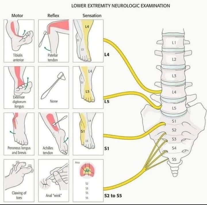 Michelle Omar Calderon Sánchez-4