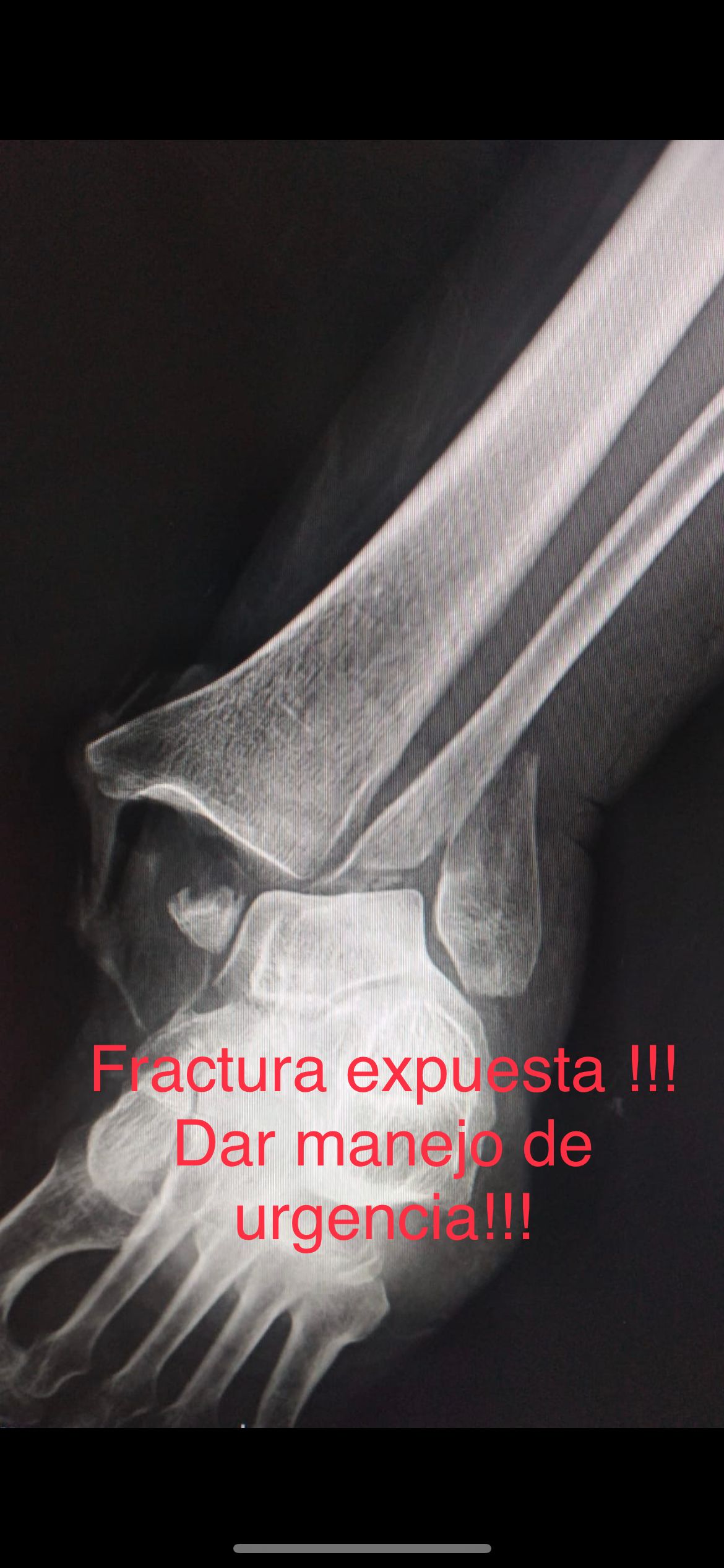 Emmanuel Bolaños Cortes-22