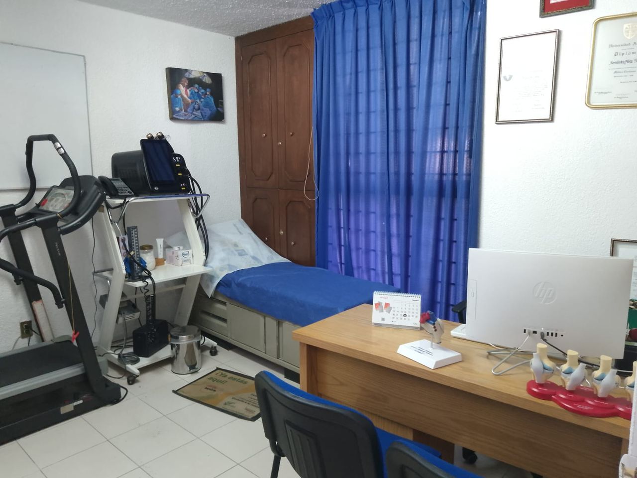 Malinali Alemán Ramírez-1