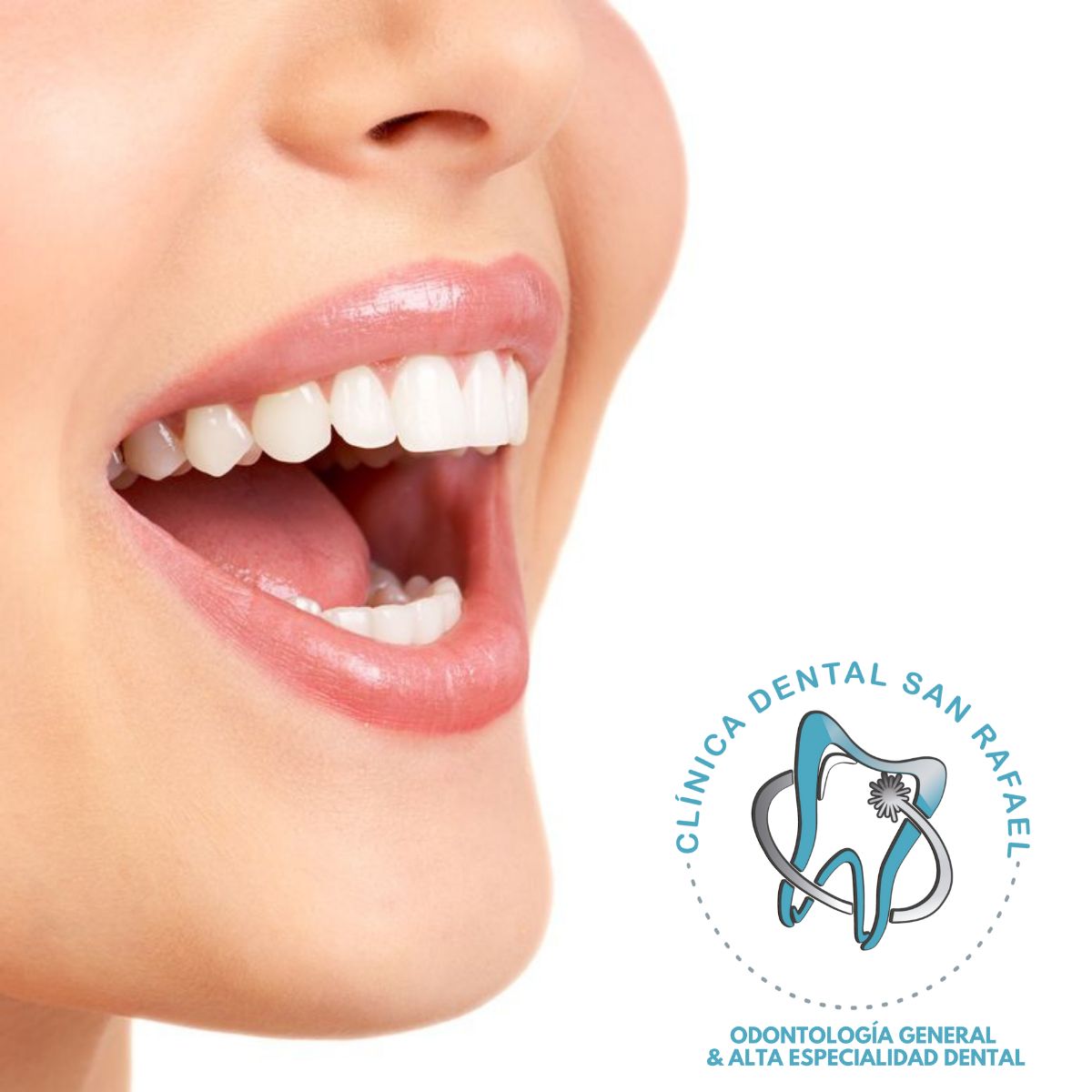 Javier Noriega Flores-7