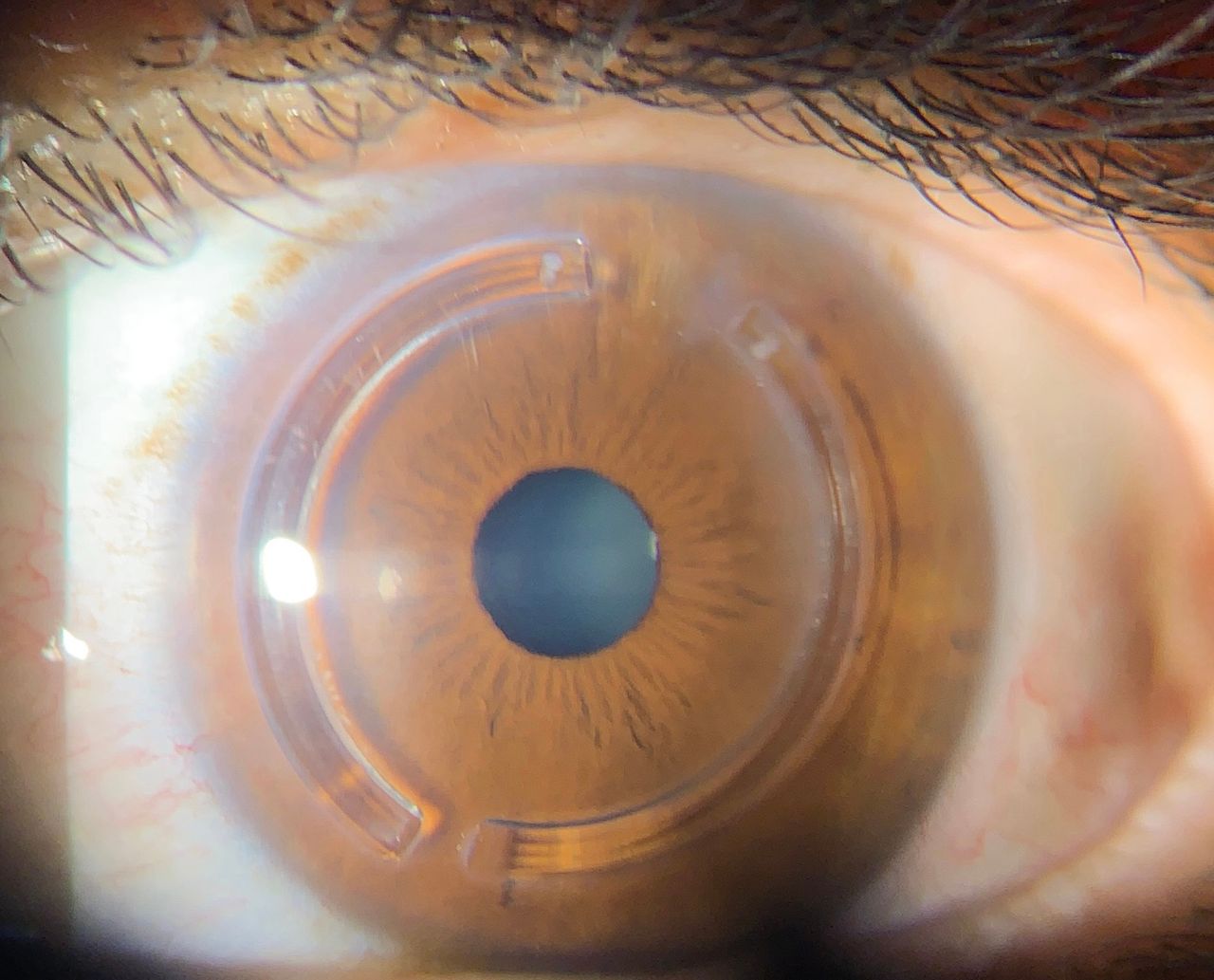 Miguel Angel Ibañez Hernandez-21