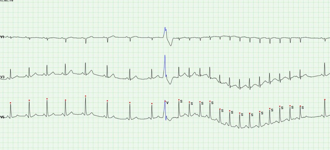 Laura Delgado De Nicola-0