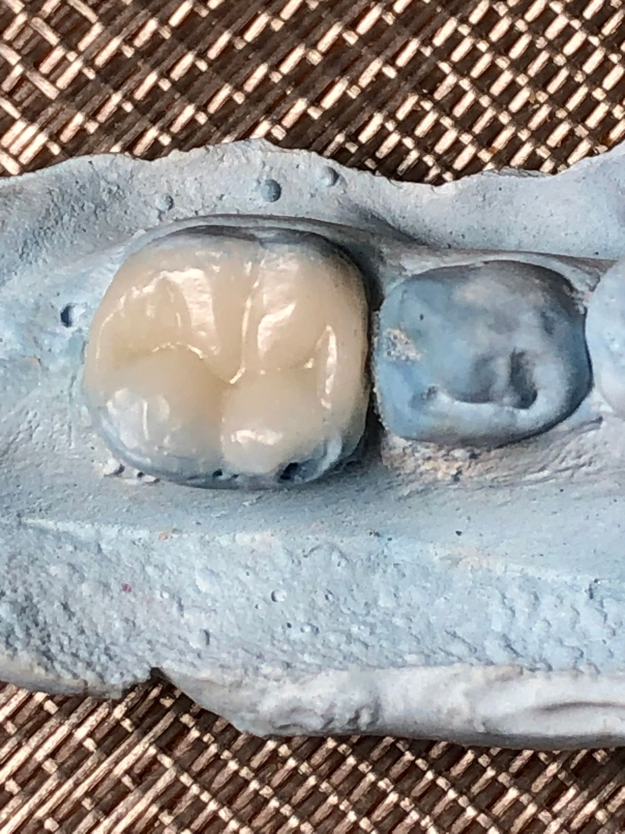 María Paula  Flores Novoa-44