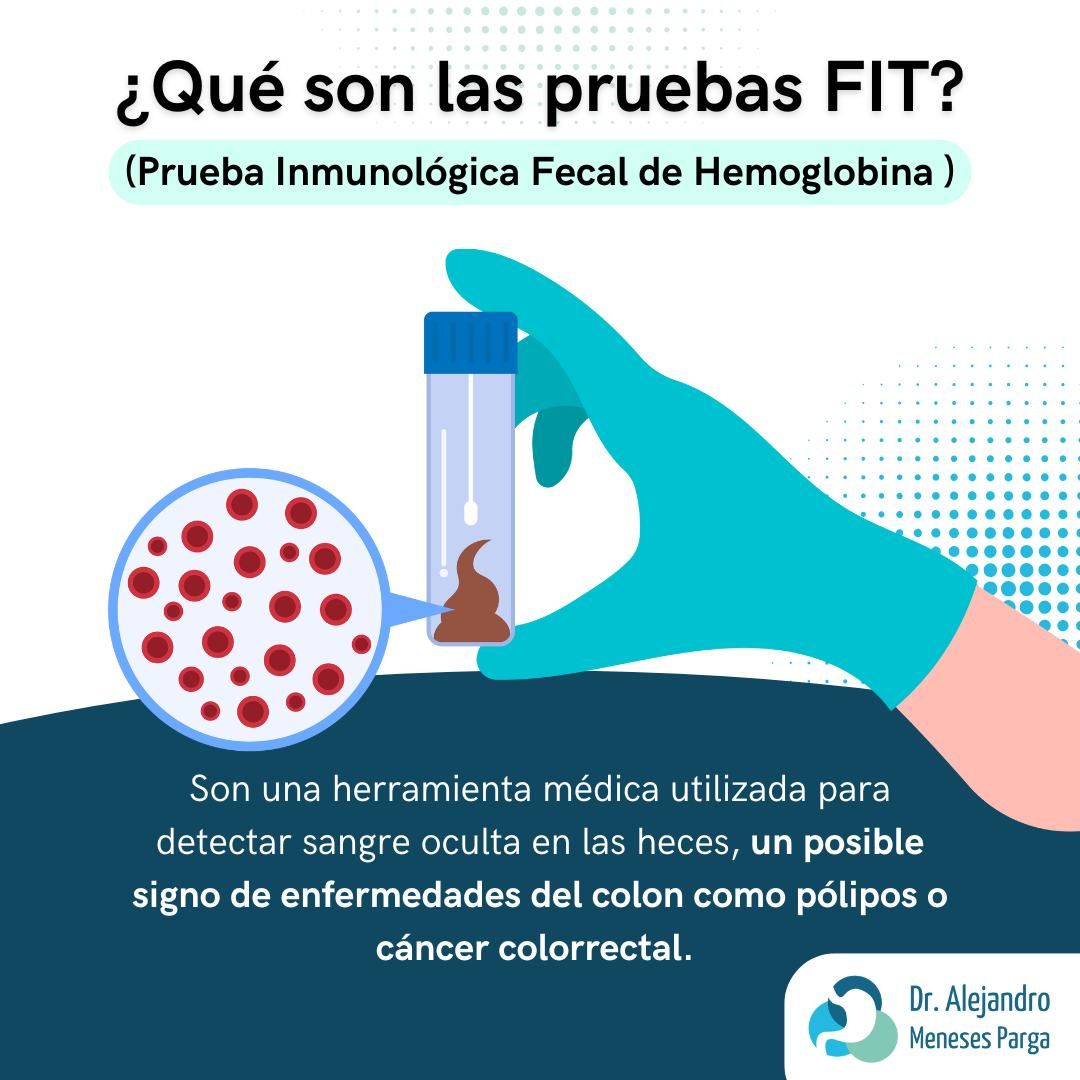 Alejandro Meneses Parga-46