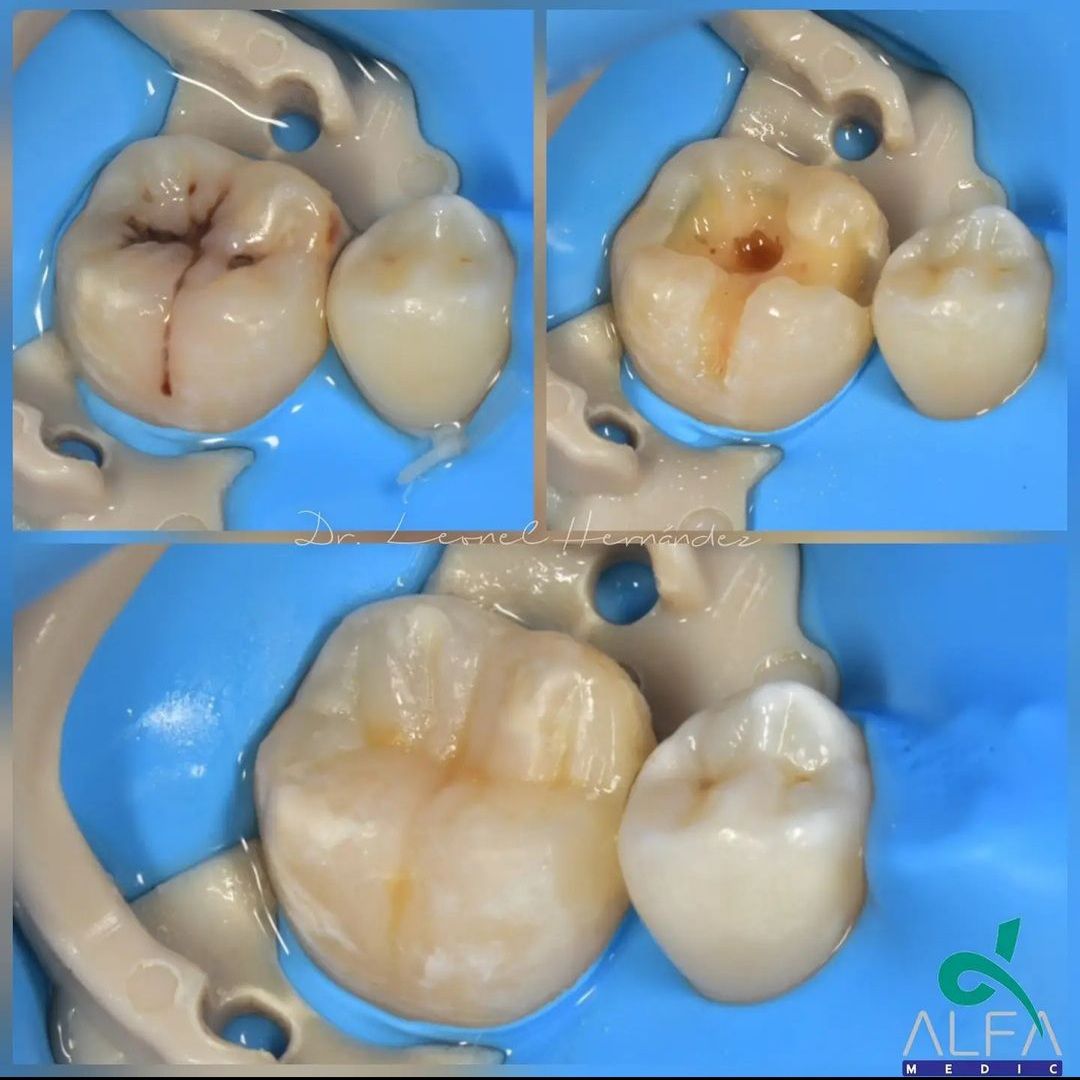 Leonel Hernández Gómez-24