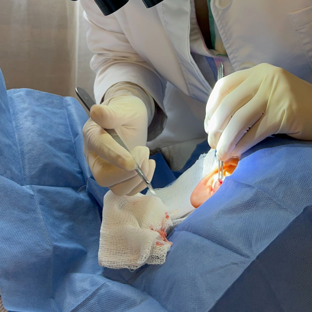 Laura Ortiz Lobato-10