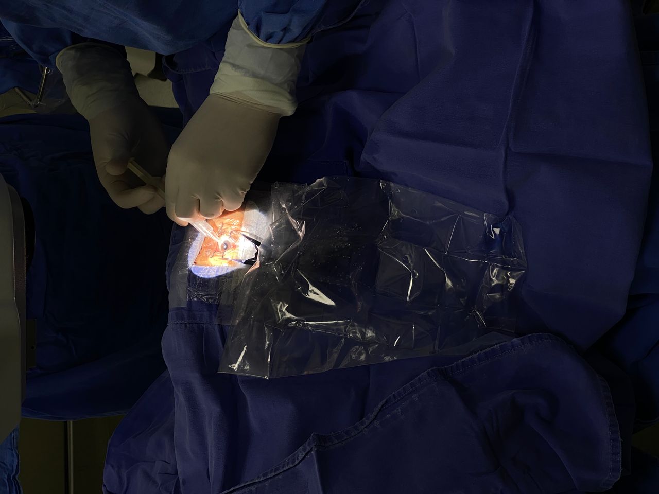 Javier Guzmán Esquivel-5