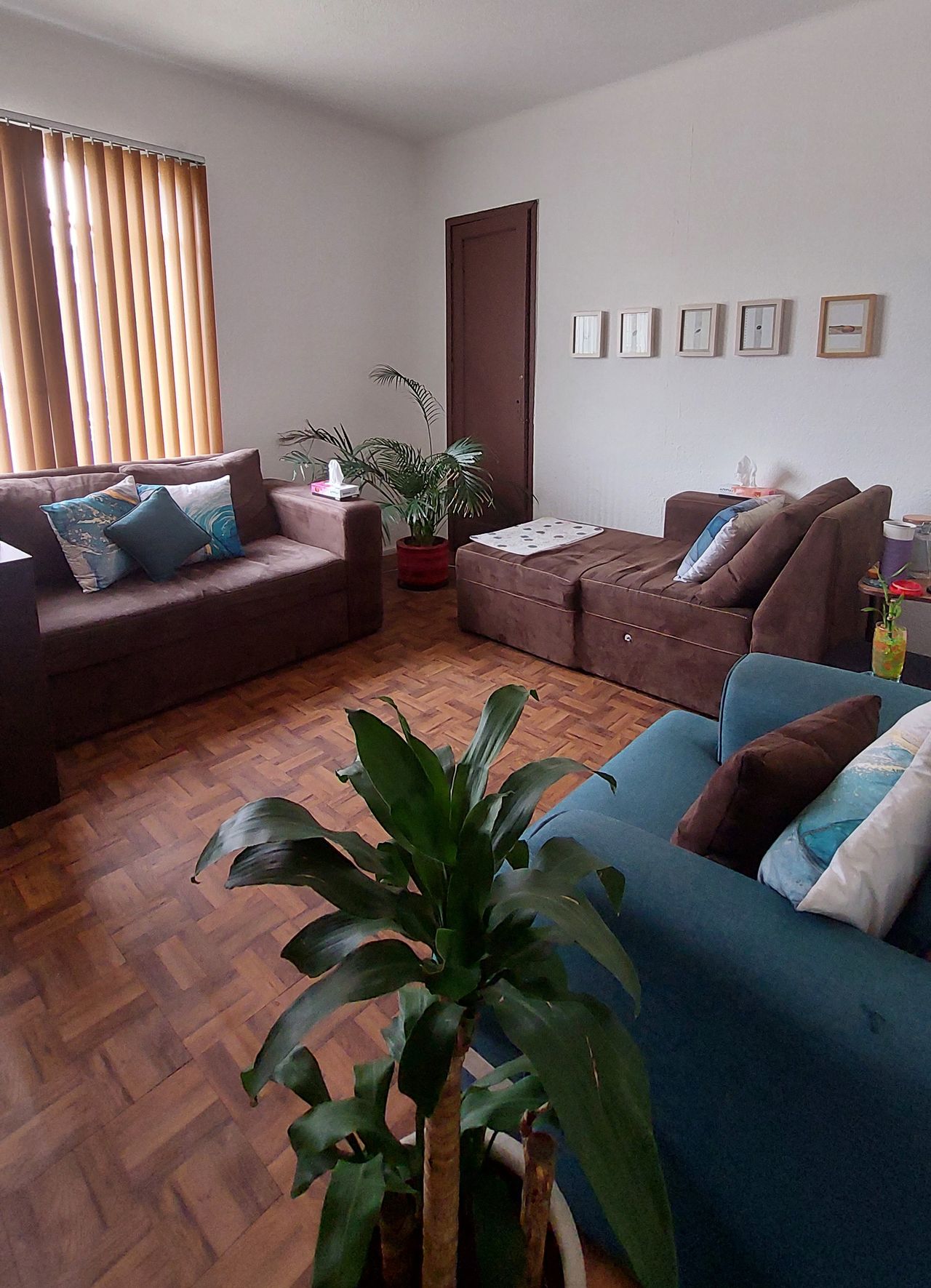 Marisol Vargas Hernández-1