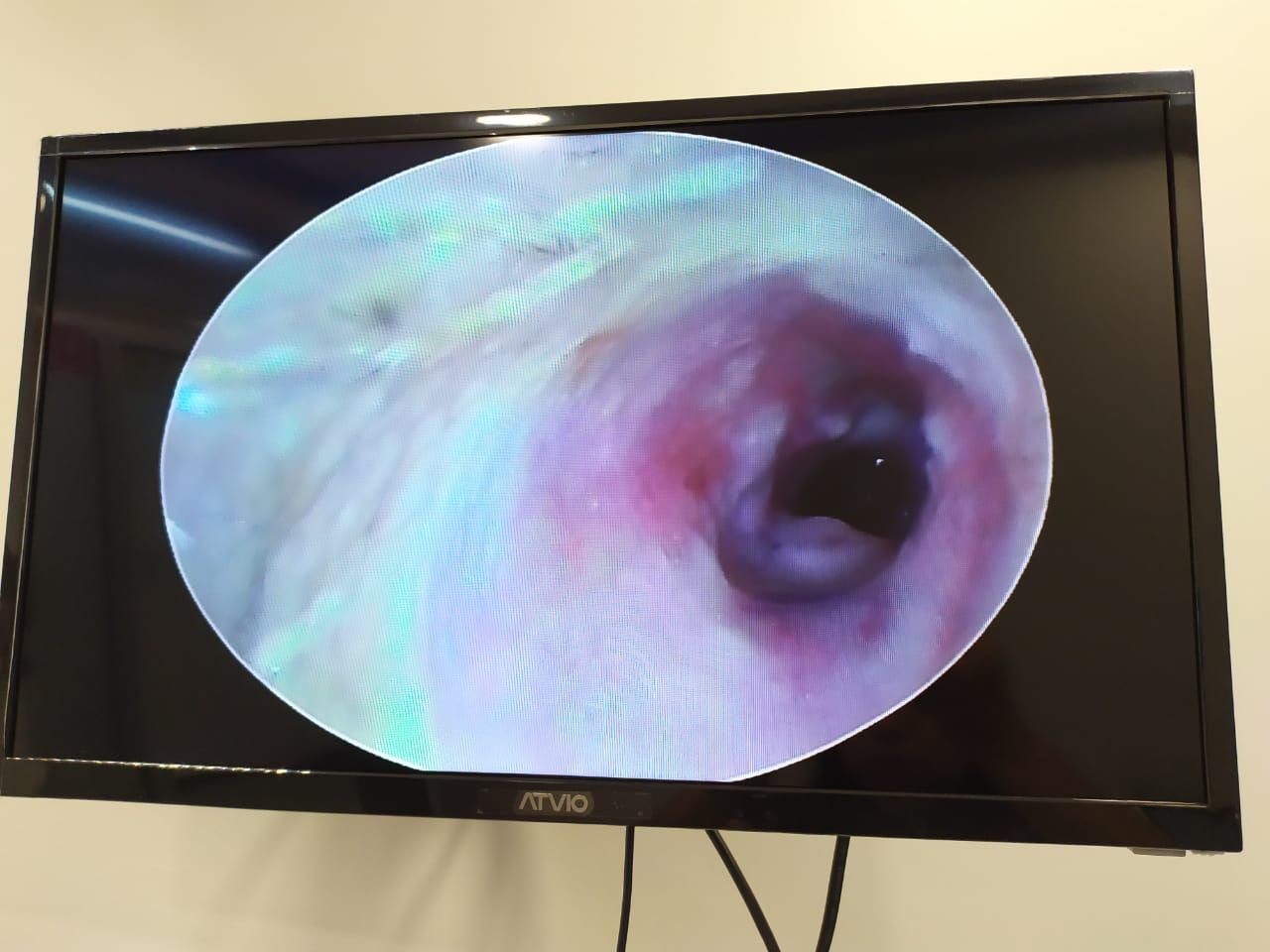 Andrea Fernández Cervera-0