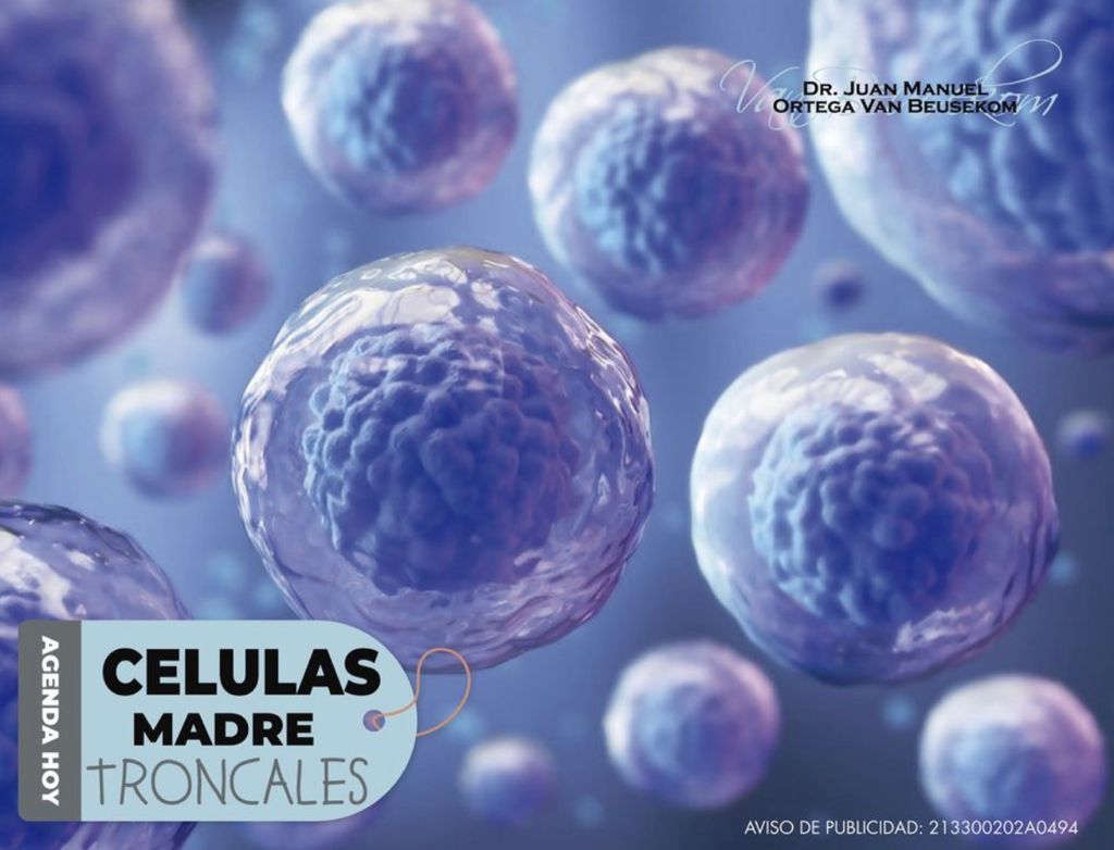 Juan Manuel Ortega Van Beusekom-2