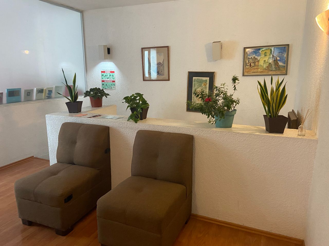 Elizabeth Romano Gutiérrez-0