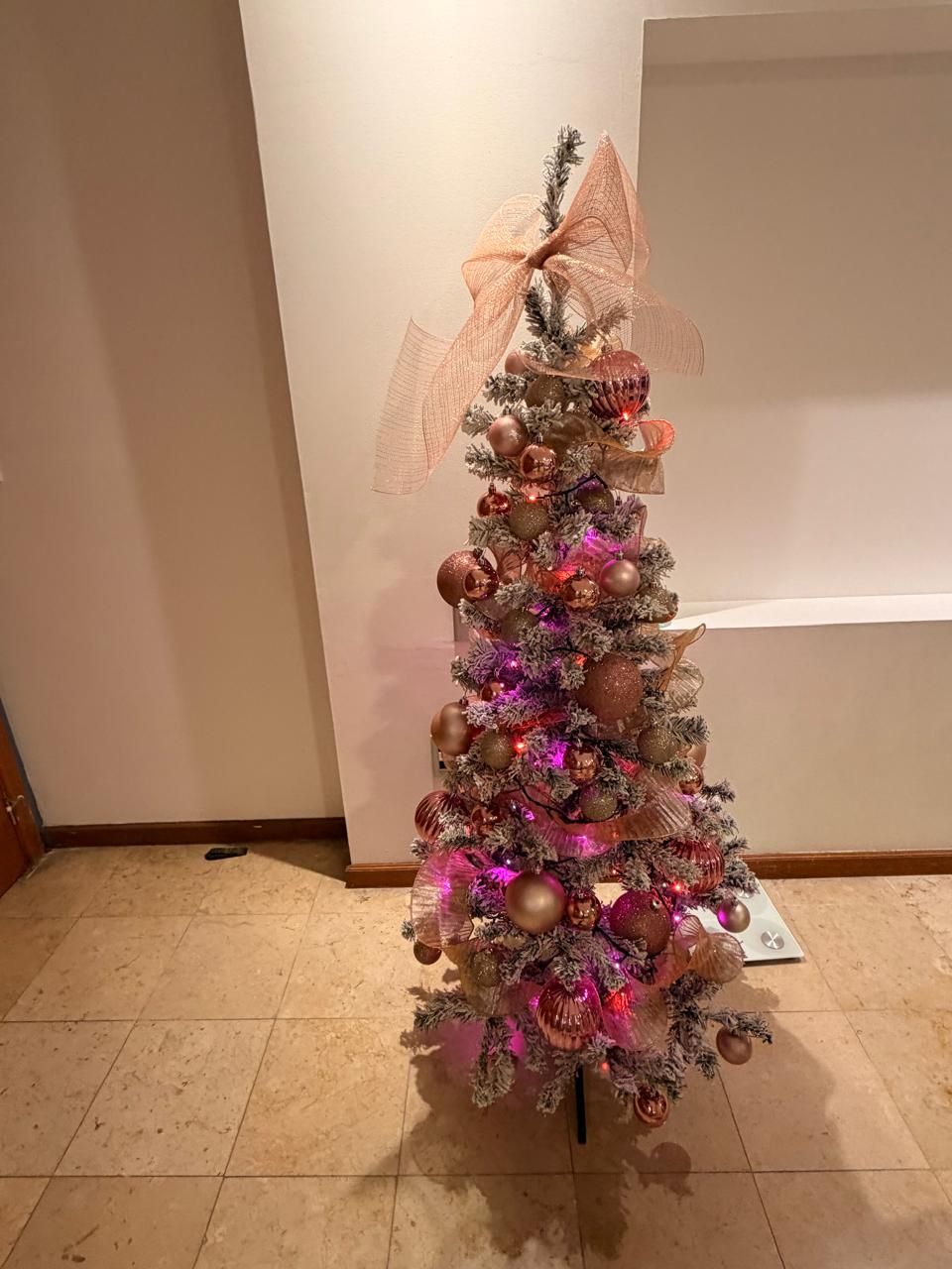 Ricardo Martinez Alaniz-17