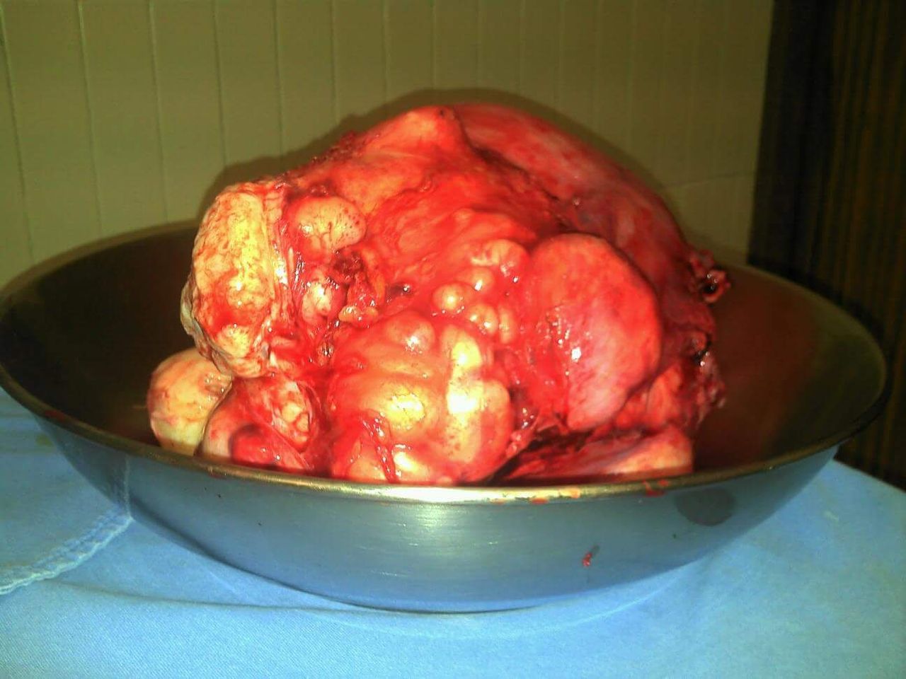 Marisol I. Alvarez Carrasco-19