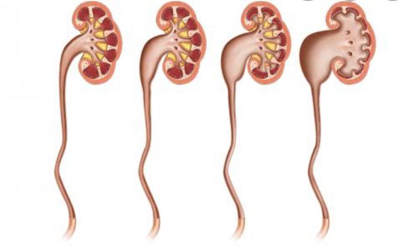 Teresa Eugenia González Fuentes-5