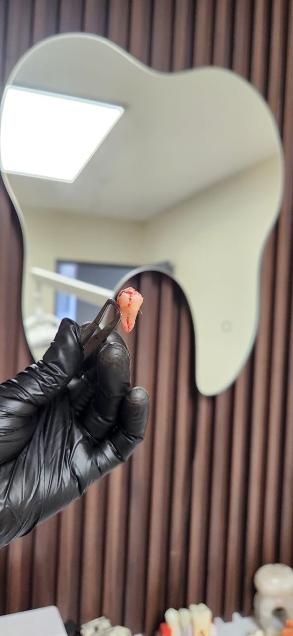 Ericka J. Hidalgo Vallejo-12