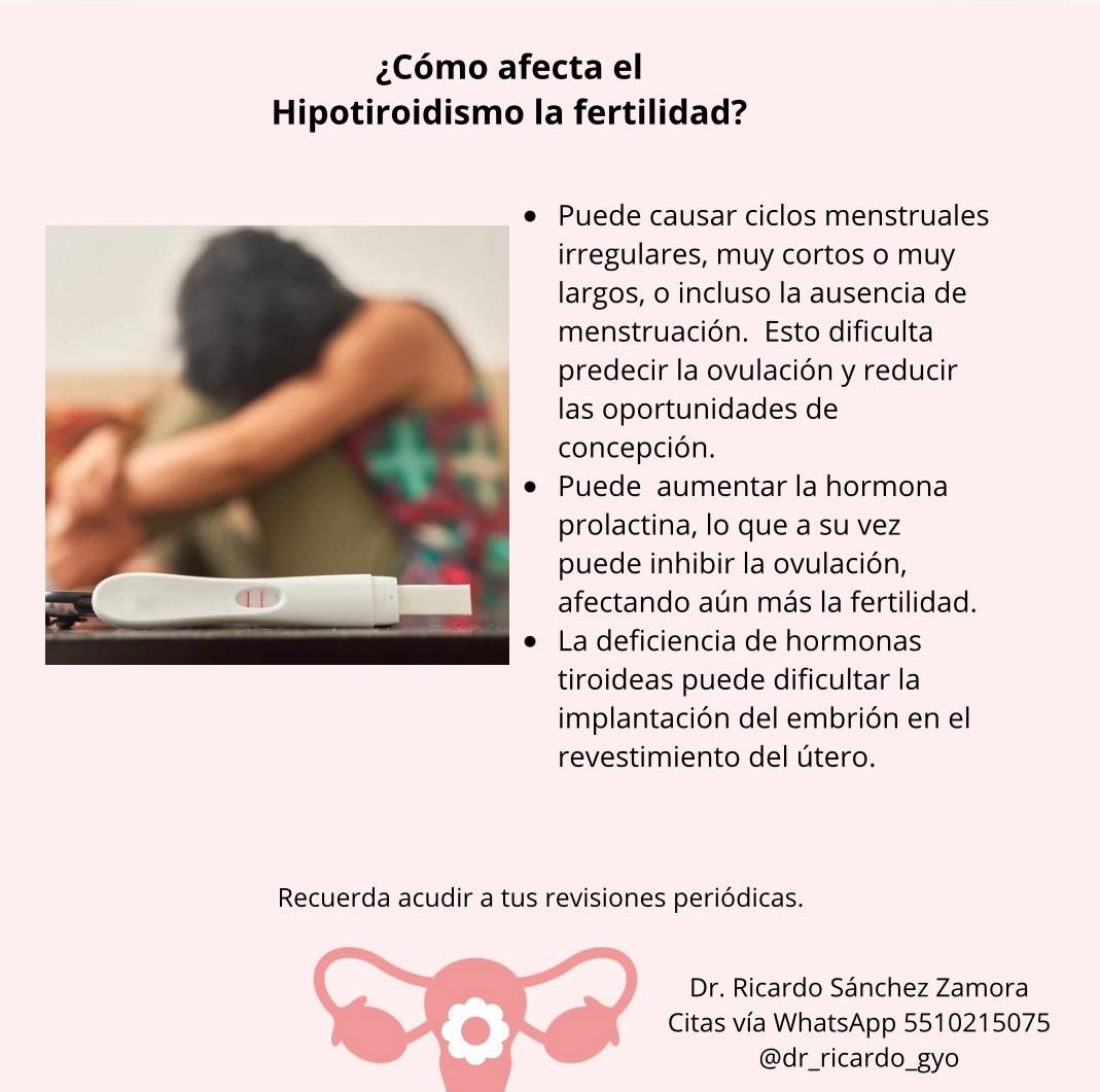 Ricardo Sanchez Zamora-19