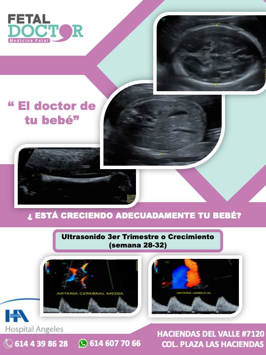 Jesús Manuel Ortega Flores-11