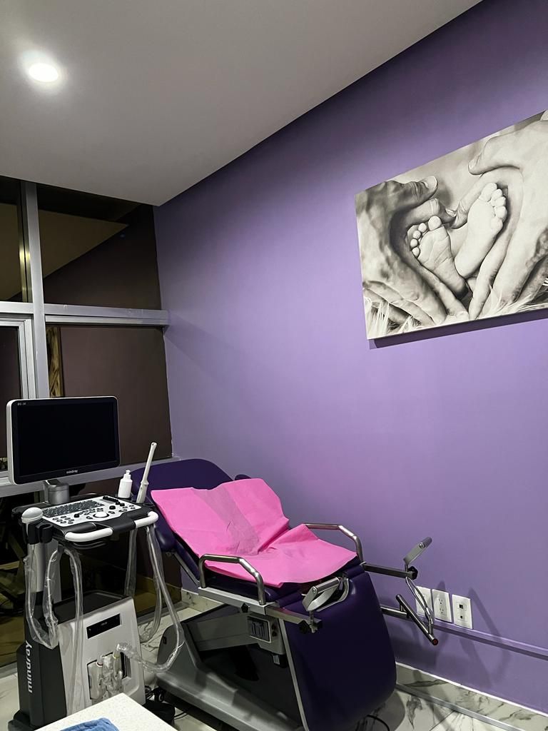 Paulina Giovanna Castro Ocampo-2