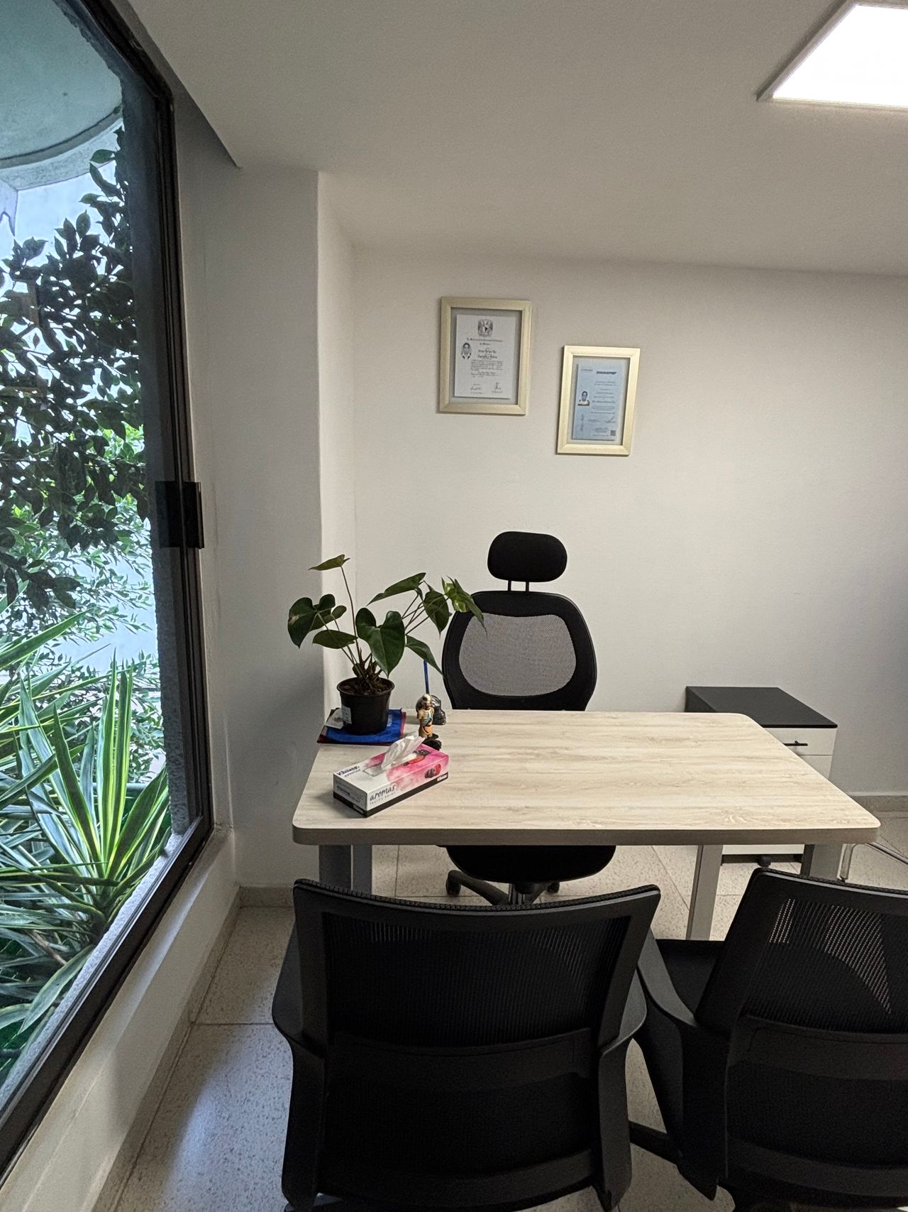 Adriana Martínez Diaz-7