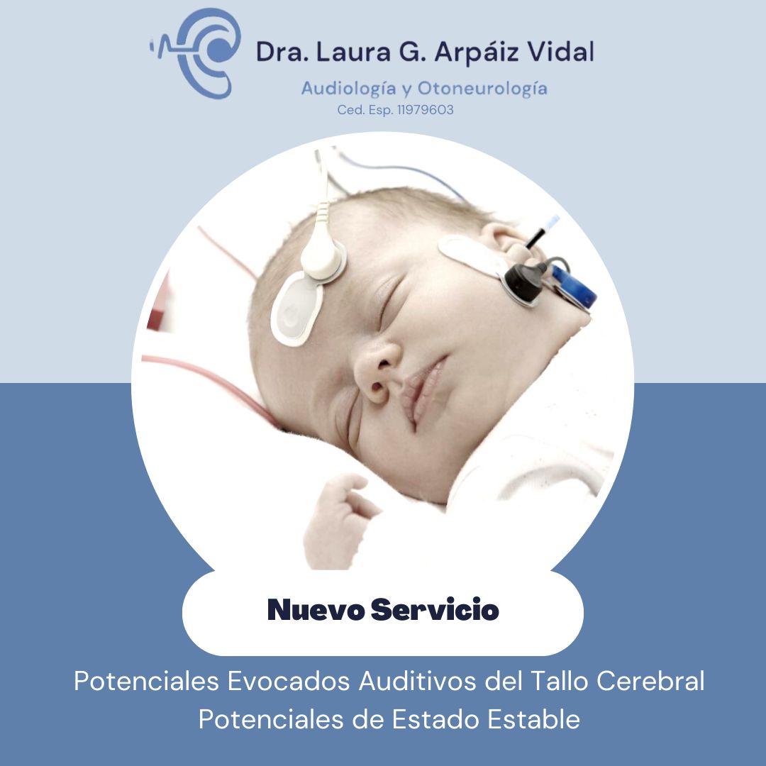 Laura Gabriela Arpáiz Vidal-2