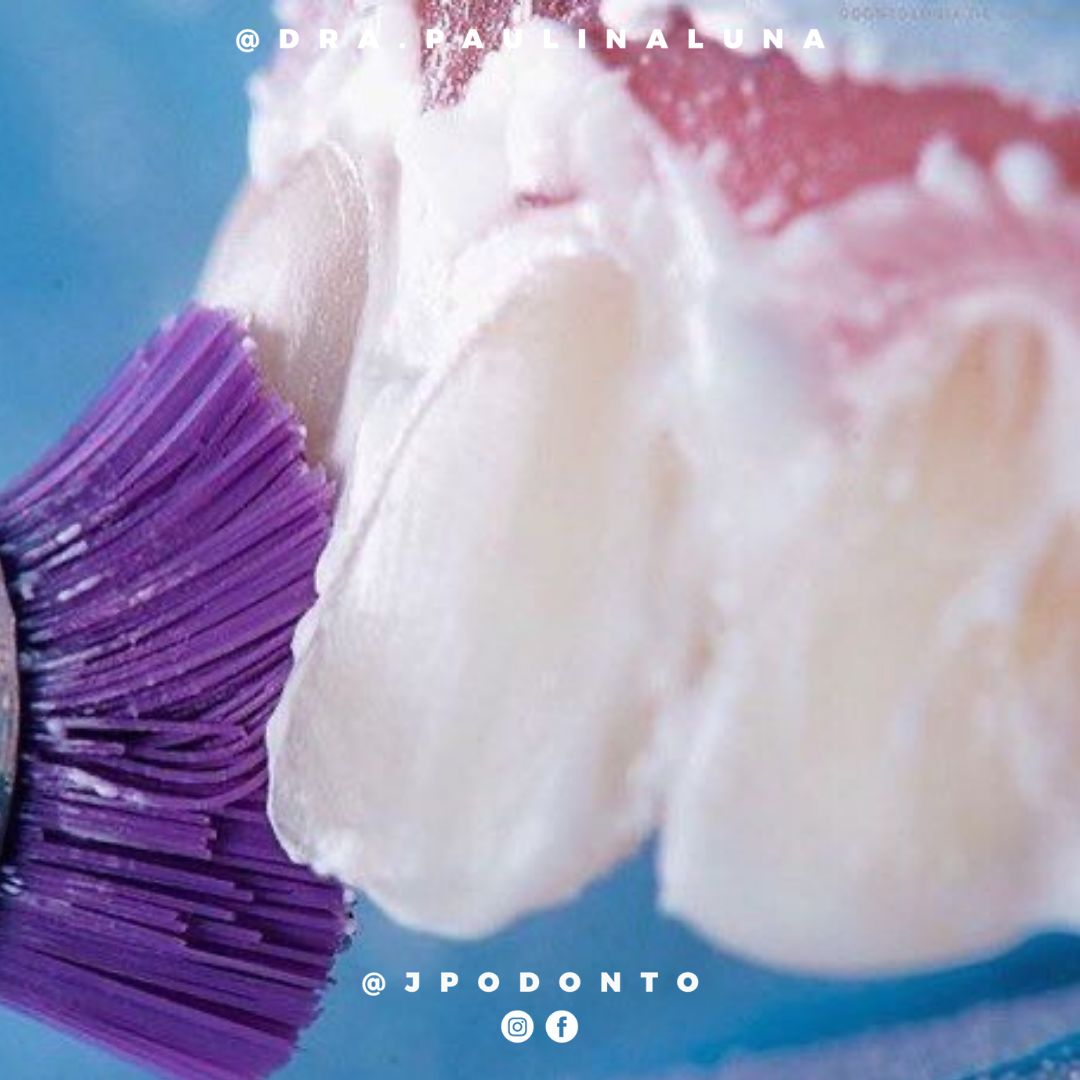 Paulina Joselin Luna Jiménez-5