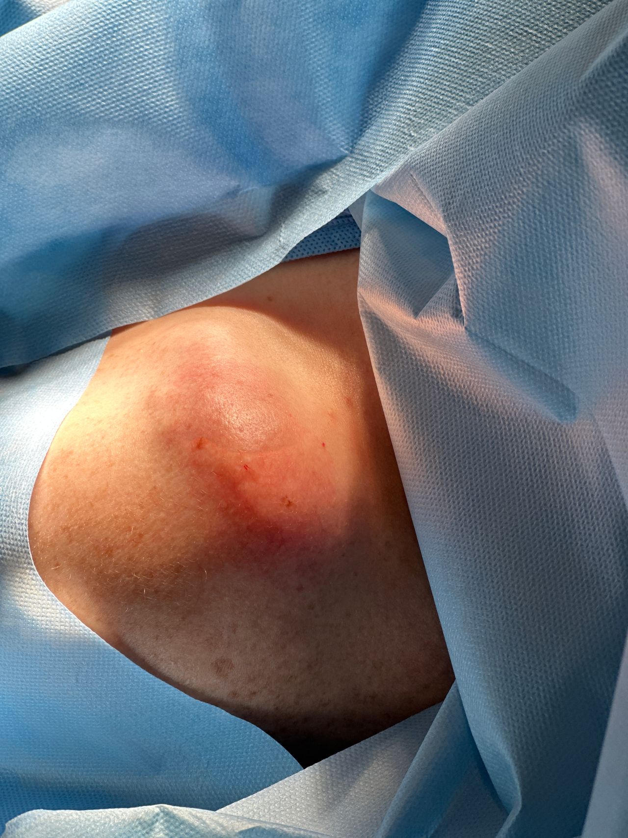 Monica Isabel Clavel Nicolas-7