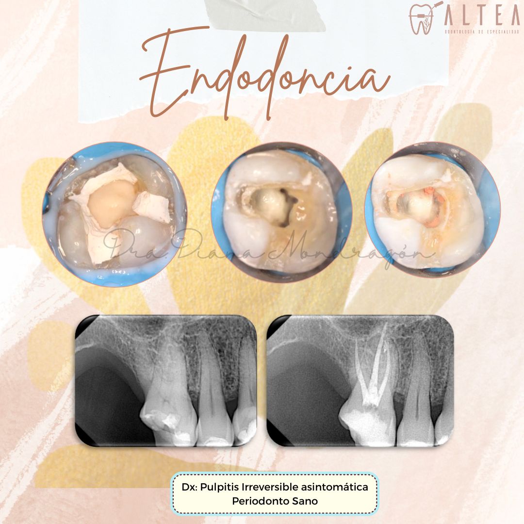 Diana Beatriz Mondragon Tamaturgo-3