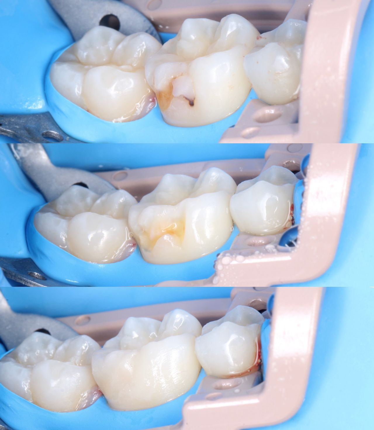 Alejandra Sujey Chávez Rodríguez-25