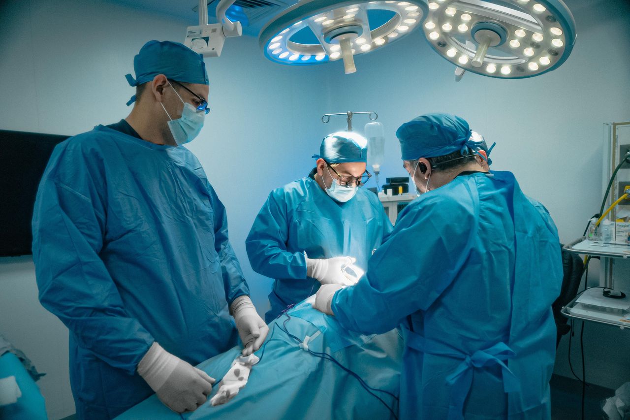 José Martín Niebla Moreno-10