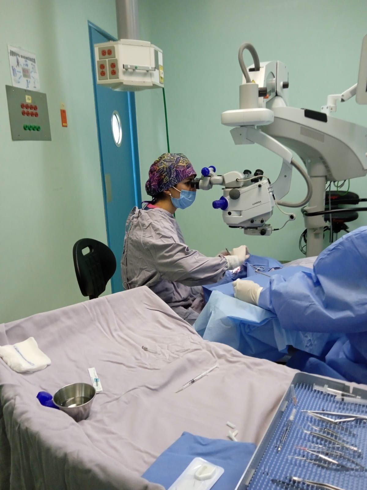 Valeria Hernández Jiménez-2