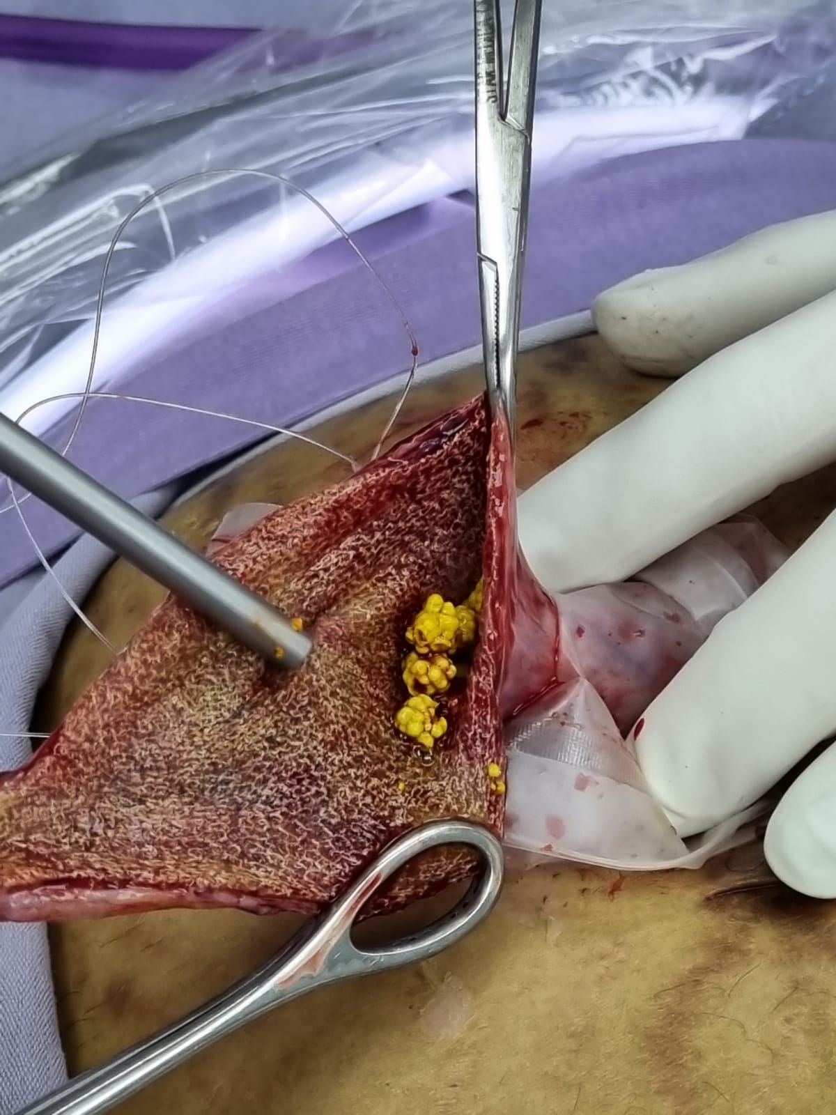 Martin Velázquez Ojeda-9