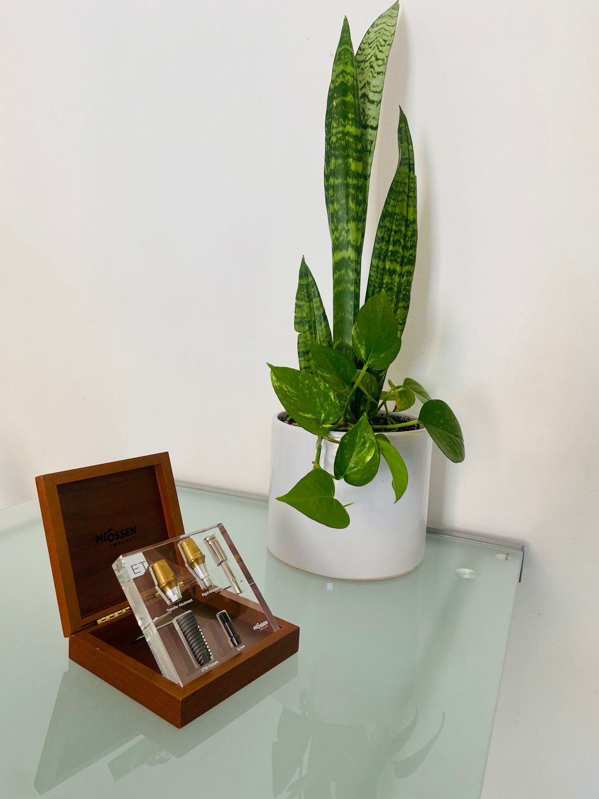 Tania Valencia Hernández-9