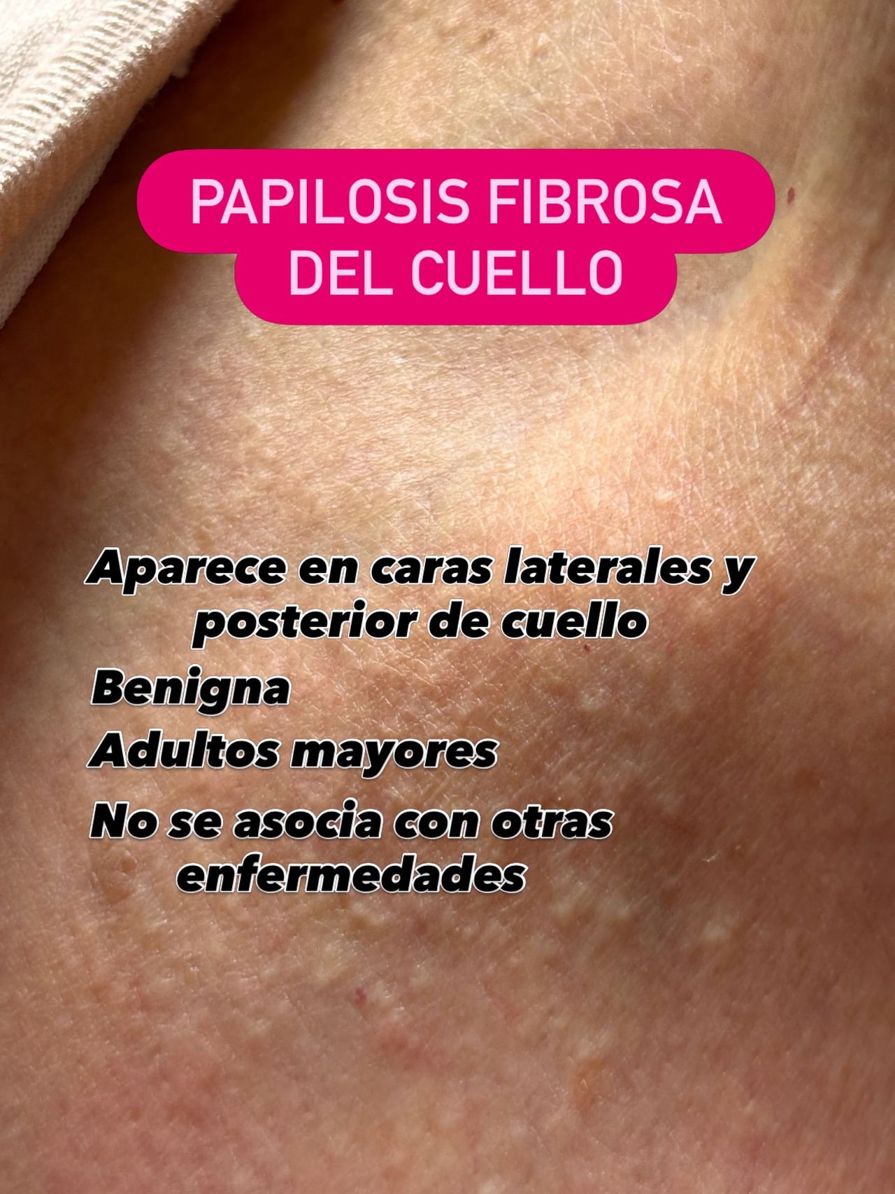 Patricia Alfaro Ledesma-14