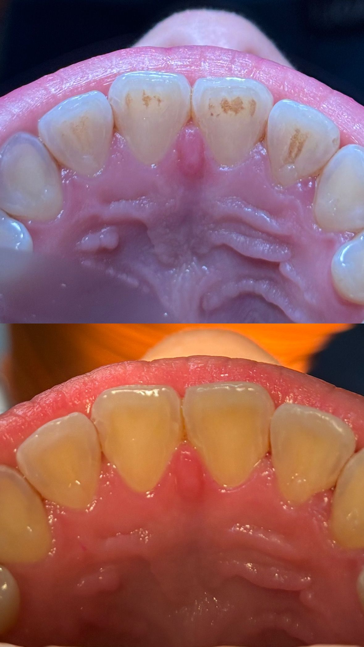 María Paula  Flores Novoa-31