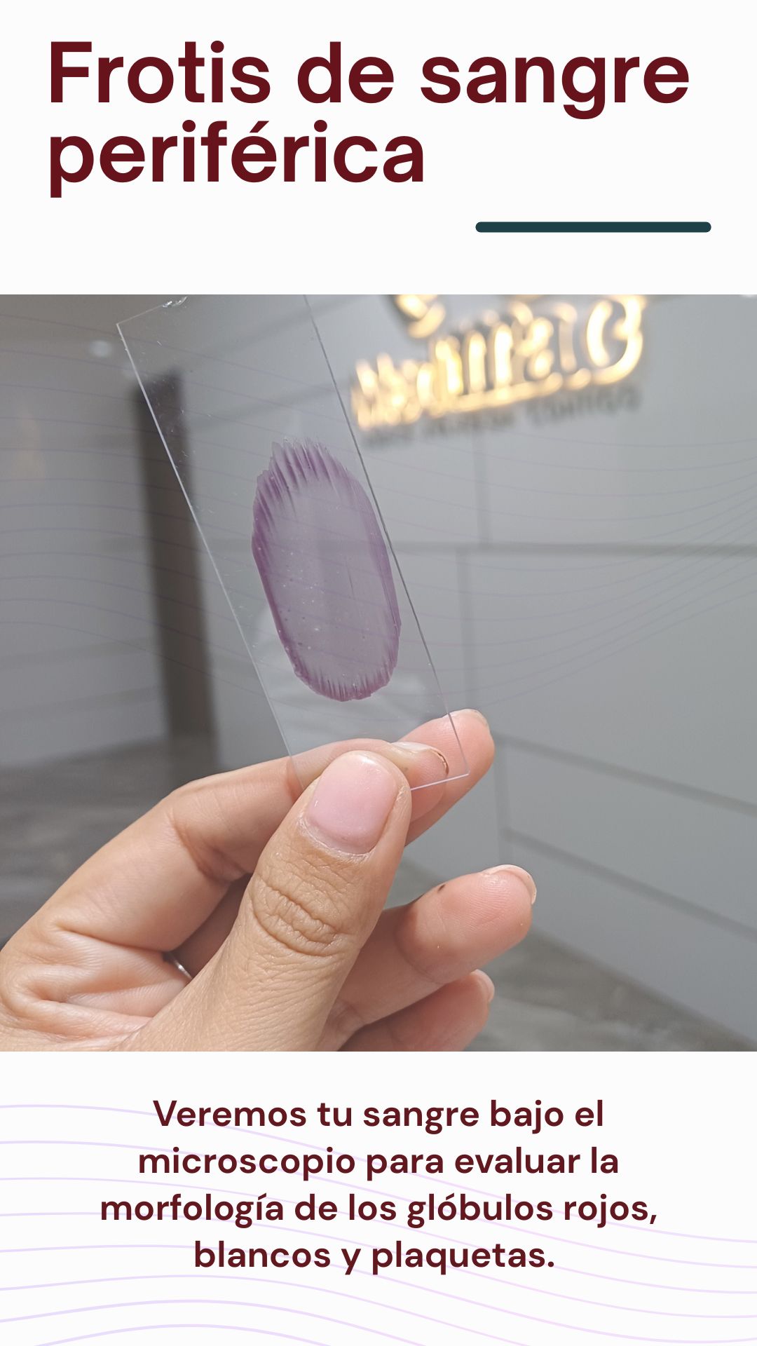 Rosio Lopez Reyes-22