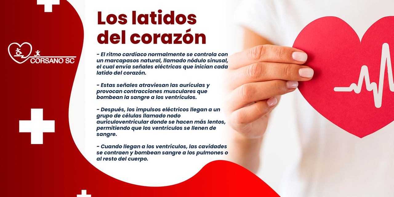 Angel Orta Lozano-10