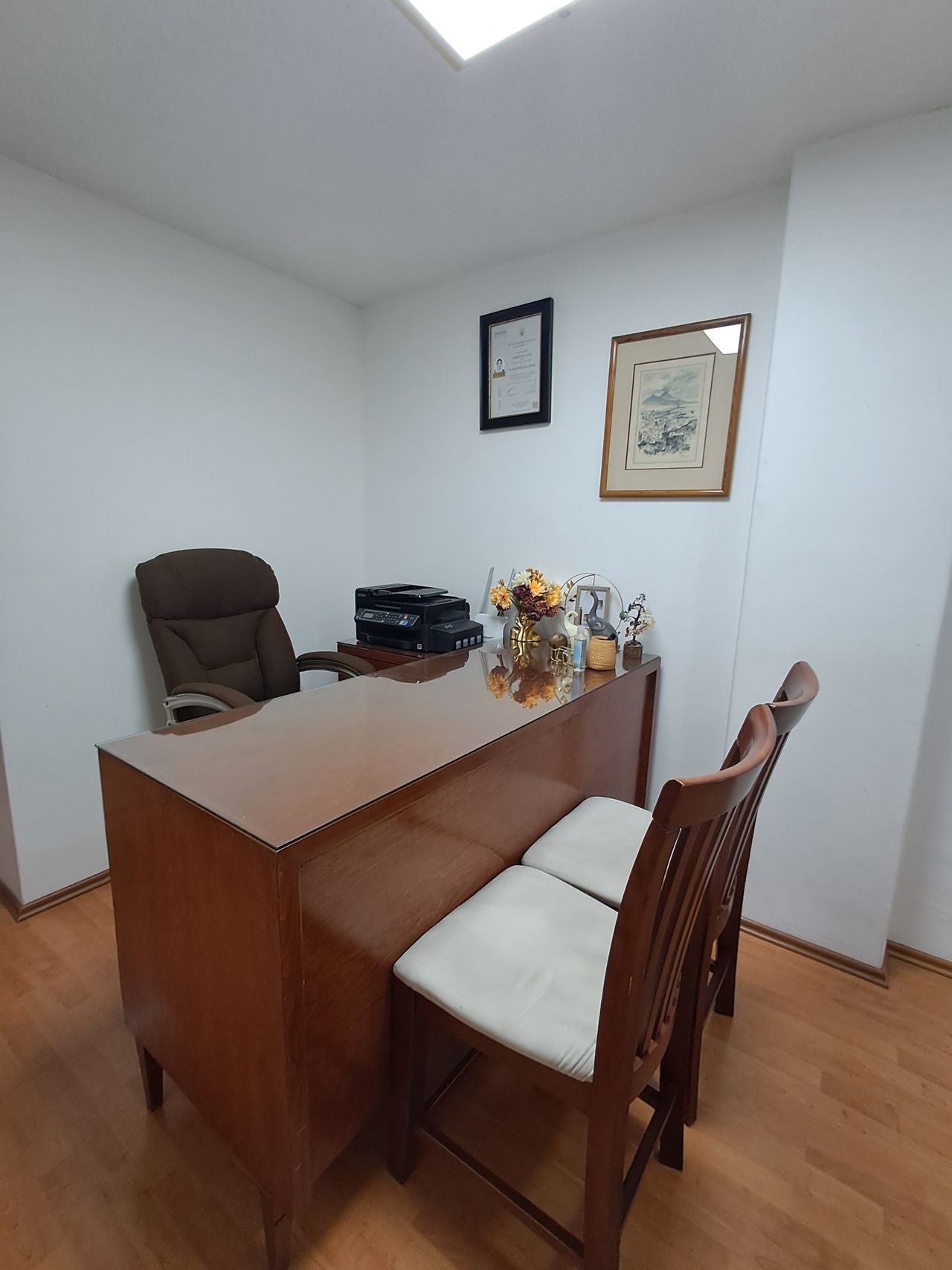 Aline Rivas López-1