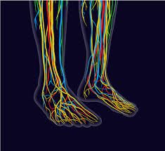 José Sayavedra Jaimes-48