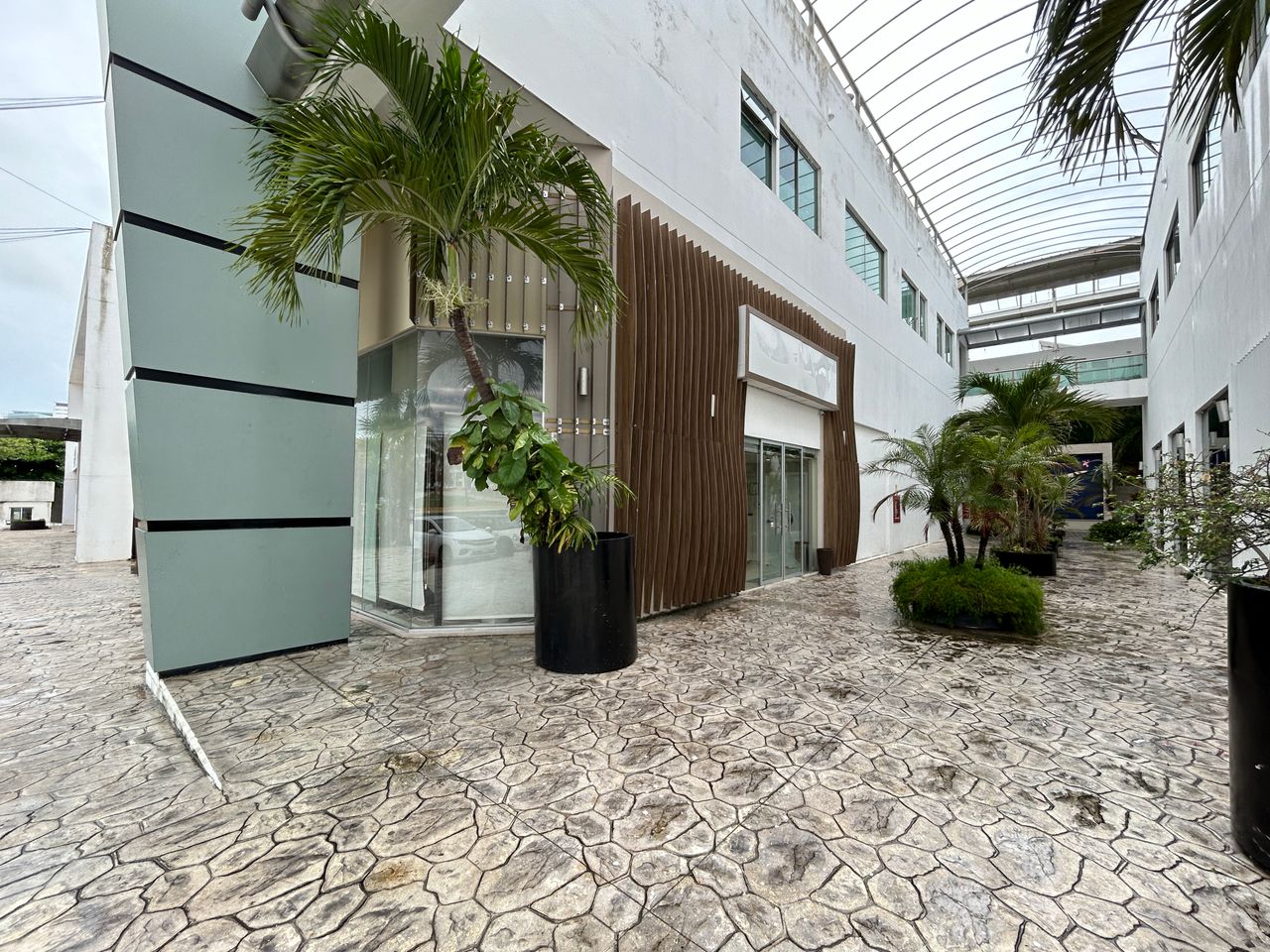 Martha Patricia Panamá Flores-1