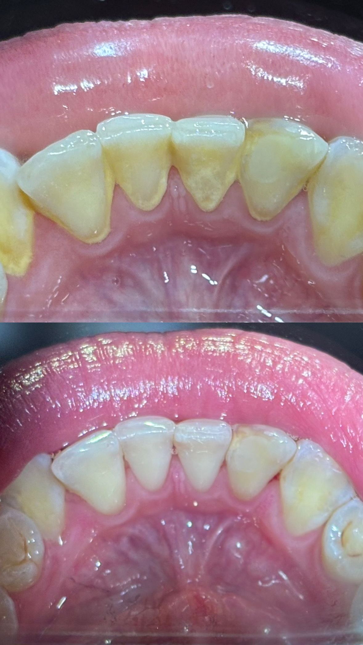 María Paula  Flores Novoa-32