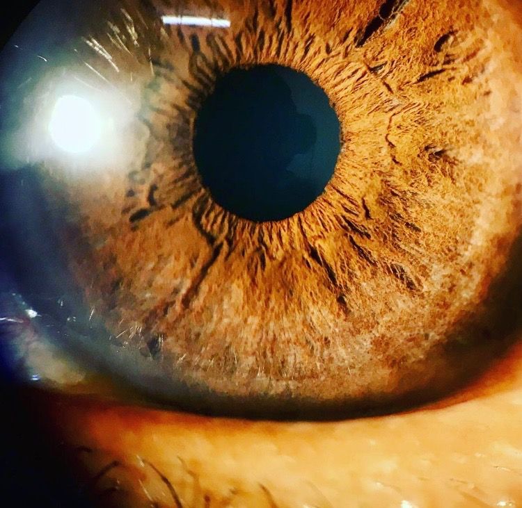 Jennifer Montoya Silva-19