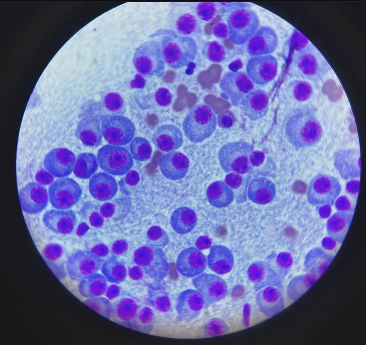 Antonio Yair Venancio Hernandez-2