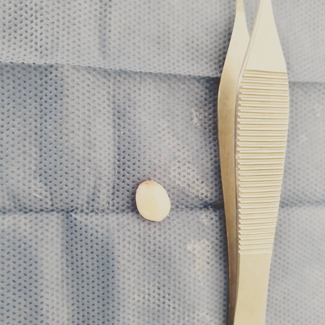 Alejandra Maria Corona Sandoval-47