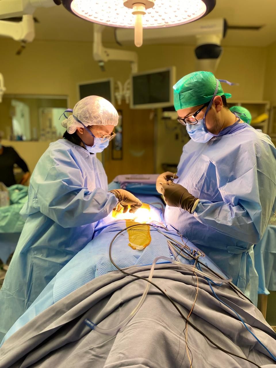 Cynthia Elena  Gallardo Gutierrez-7