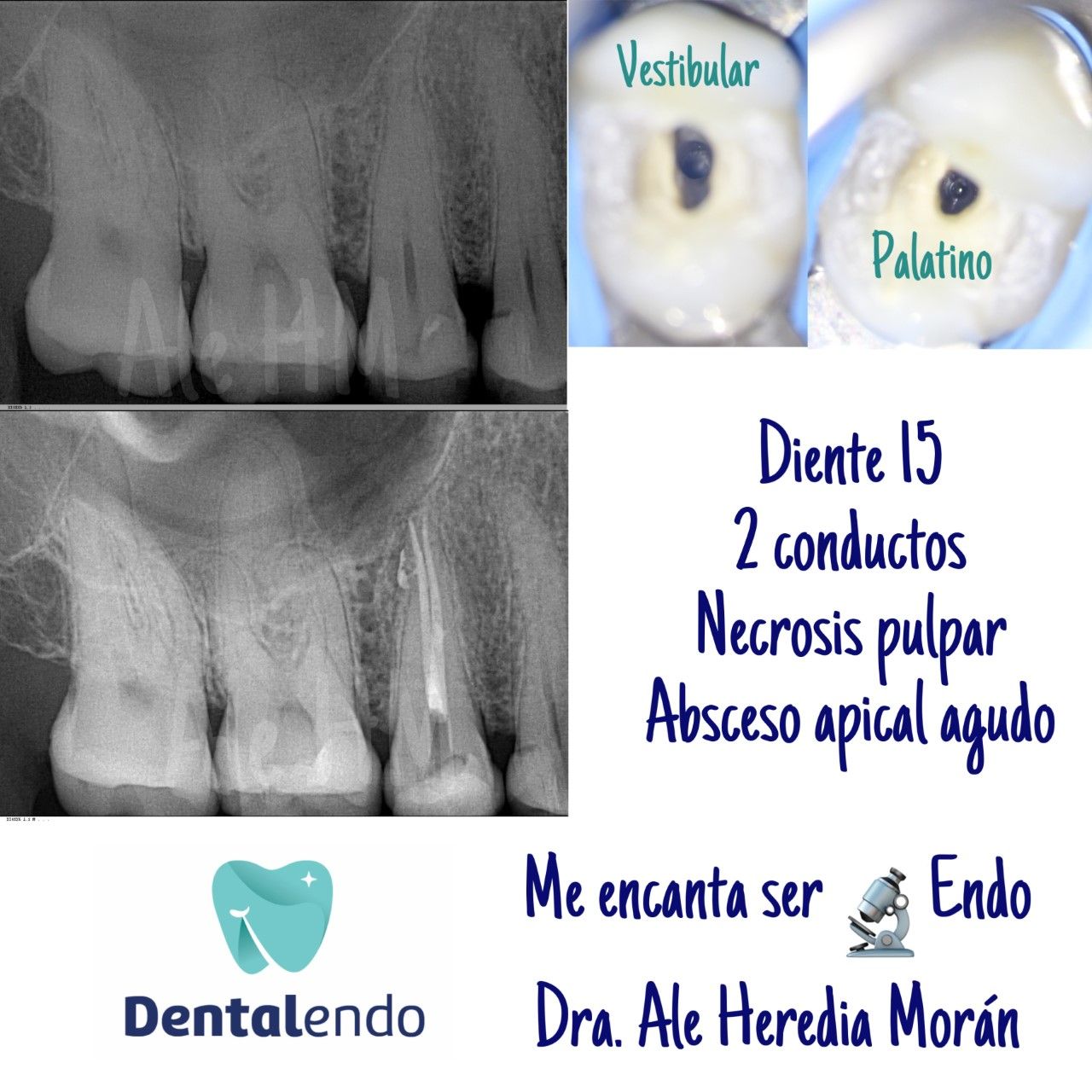 Alejandra Heredia Morán-7