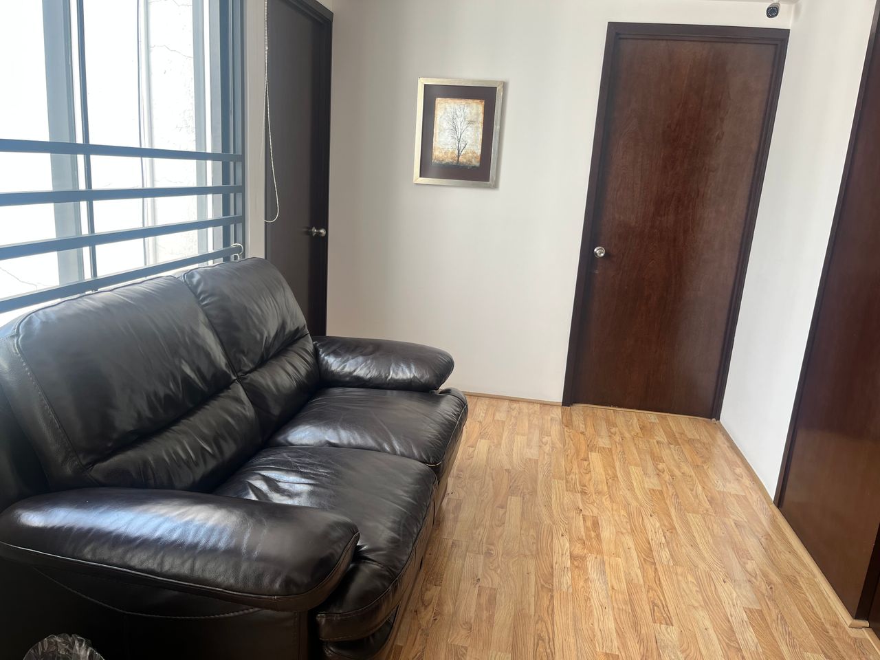 Diana Murguía Rivera-1