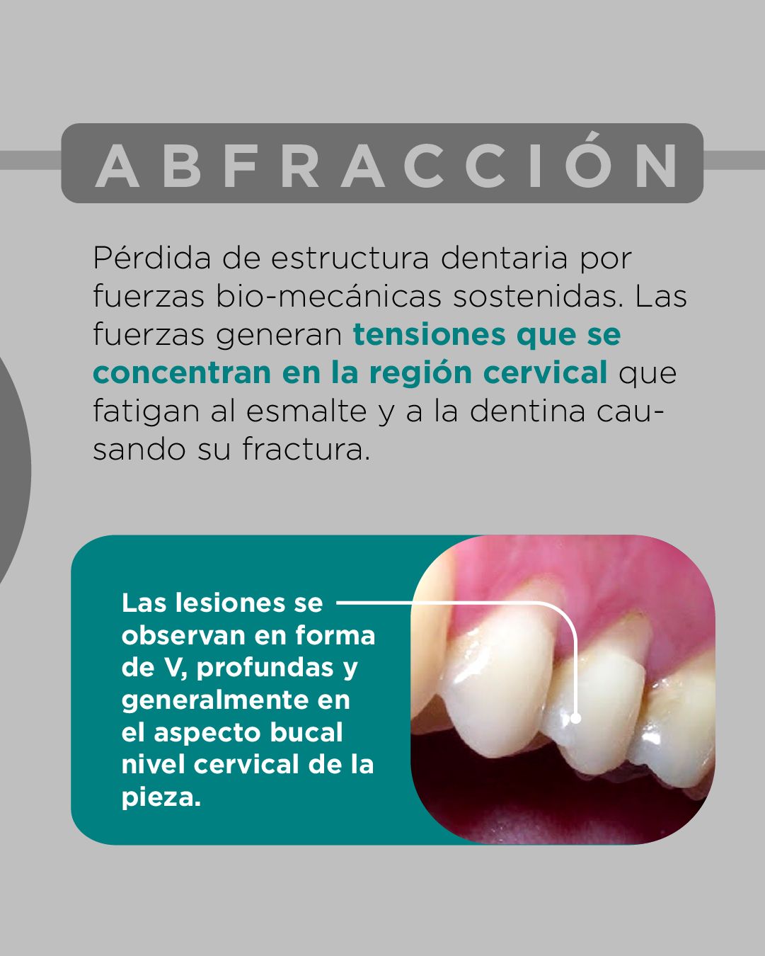 Diana De La Torre Priego-7