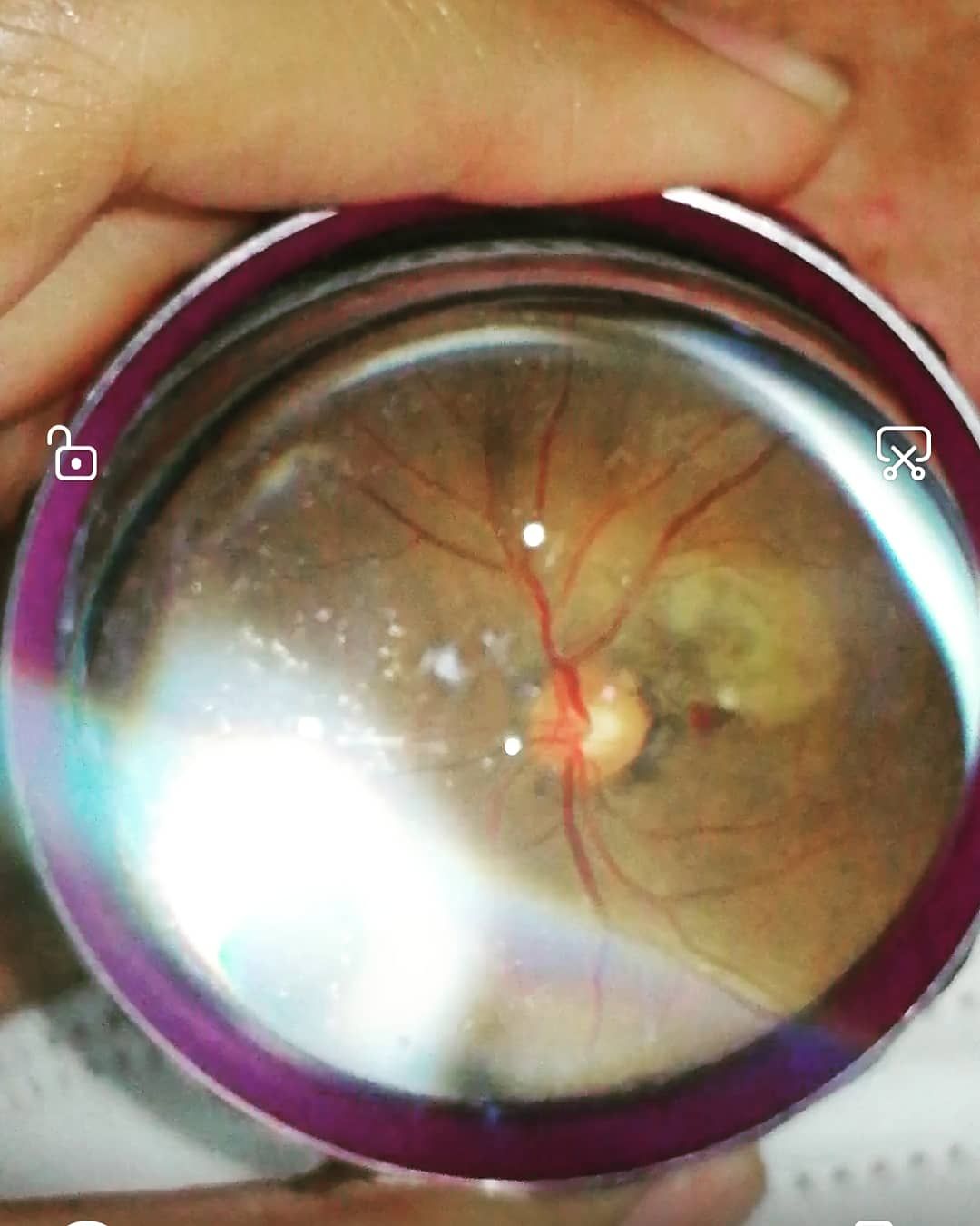 Dalia Méndez Marín-14