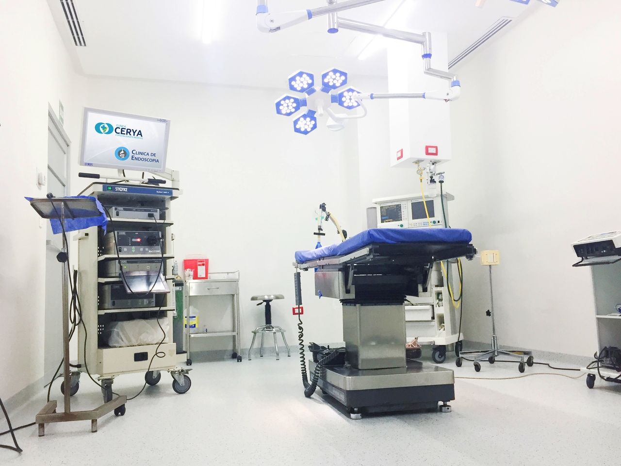 Blanca Itzel Hernández Alvarez-5